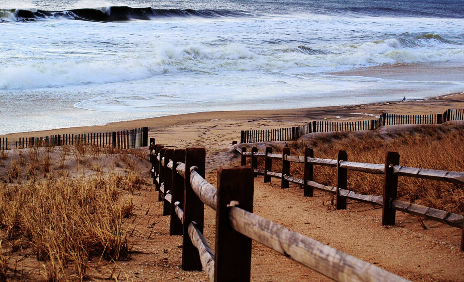 Beach-new Jersey Coastal-color Photo of a Beach With Path-beach ...