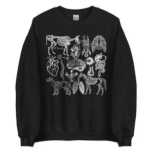 Veterinary Anatomy Crewneck