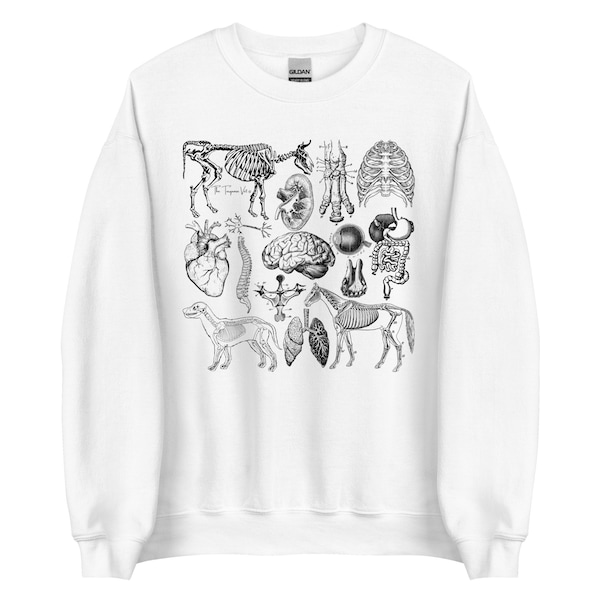 Anatomy Crewneck - Black Font