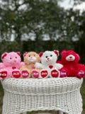 Personalized Valentine’s Day Teddy Bears, Custom Valentines Bear, Custom Valentines Gift, Personalized Valentines Bear, My First Valentine’s