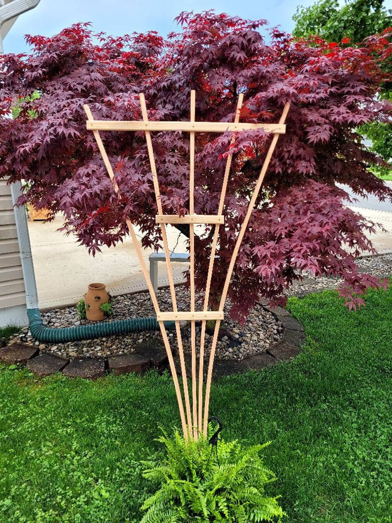 Fan Garden Trellis With Ground Anchor Etsy