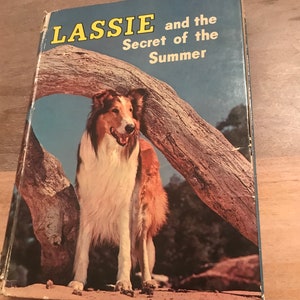 Lassie and the Secret of Summer-Dorothea J. Snow-vintage book-Whitman Publishing