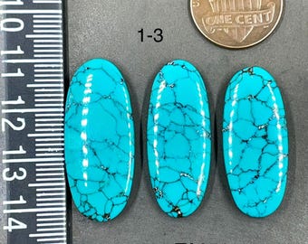 May include: Three oval-shaped turquoise cabochons with dark matrix veining, arranged vertically next to a ruler showing measurements in inches and a copper one-cent coin. The stones are labeled 1-3 and TA851, displaying a bright blue color.