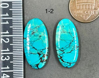 May include: Two oval-shaped turquoise cabochons with black matrix veining, positioned next to a ruler showing measurements in inches and a one-cent coin for scale. The stones are bright blue with intricate dark patterns across their surfaces.