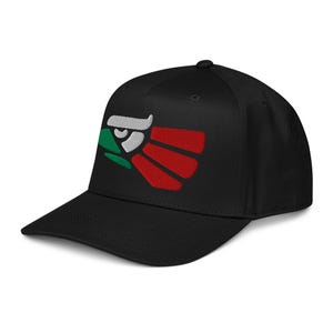 May include: Black baseball cap featuring an embroidered design of a stylized eagle's head. The eagle's head is white, with a green beak and red feathers, set against a black background. The cap has a curved brim and a button on top.