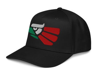 Aztec Eagle 5 Panel Cap – Red, Green & White Embroidery on Black Hat, Heritage Inspired Streetwear