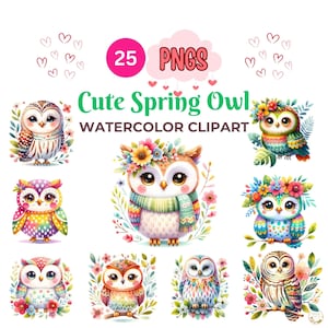 Niedliche Frühling Eule in einem Aquarell Clipart, 25 PNG Frühling Eule Clipart, Niedliche Frühling Eule, Eine bunte und einzigartige Frühling Eule Clipart, Kommerzielle Nutzung