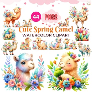 May include: Watercolor clipart set featuring adorable camels in various poses, adorned with floral arrangements. The image includes the text "Cute Spring Camel WATERCOLOR CLIPART" and "44 PNGS". The camels are depicted in pastel colors, surrounded by flowers and greenery.