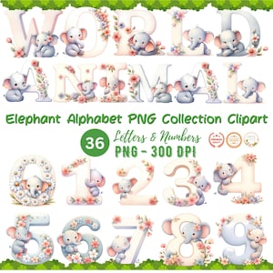 Alfabeto de elefante regordete de acuarela con una colección de flores en flor, clipart, alfabeto PNG, clipart de alfabeto, fuentes PNG, uso comercial