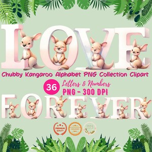 Aquarell Alphabet mit Chubby Känguru Sammlung Clipart, Alphabet PNG, Alphabet Clipart, Schrift PNG, Buchstaben und Zahlen, kommerzielle Nutzung