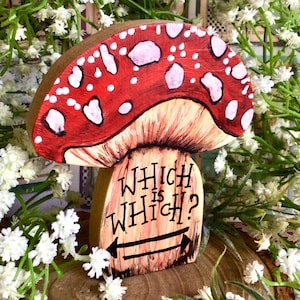 Qual é qual? enfeite de cogumelo de Alice no País das Maravilhas. Cogumelo amanita vermelho manchado. Decoração através do espelho