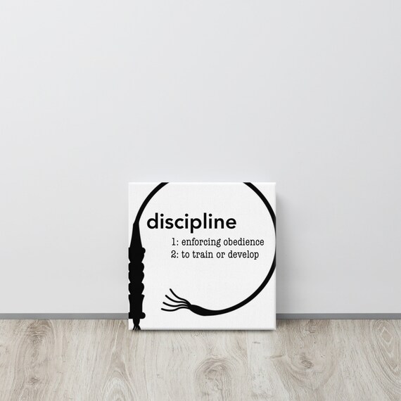 BDSM Discipline canvas ready to hang unique and made to order