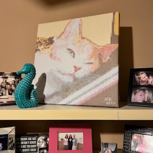 May include: A shelf with a variety of framed photos, including a close-up of a cat's face, a group of people, and a couple. There is also a turquoise seahorse figurine and a silver skull on the shelf.