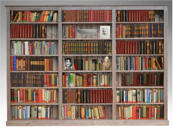 Wall Display Library Shelving