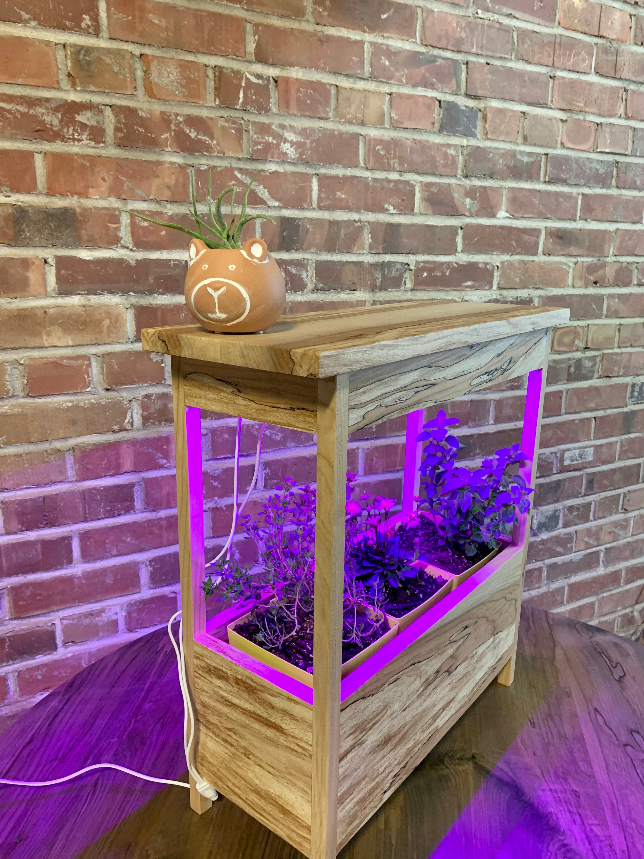 Herb Garden Planter LED Grow Light Maple Etsy
