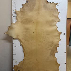Cuero crudo de ciervo para tambor, funda de tambor, cuero para instrumentos, cuero para percusión, pergamino, haz tu propio tambor chamánico, bricolaje
