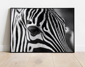 voor het geval dat werkloosheid Lastig Framed Horizontal Premium Print Zebra close Up Black and - Etsy