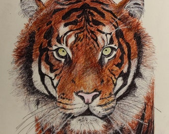 Tiger original framed ballpoint pen drawing