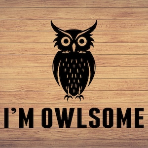 Owl SVG, Birds SVG, Owl cut file, Owl clipart, Owl svg files for silhouette, Owl files for cricut, Owl svg, Owl dxf, Digital Download