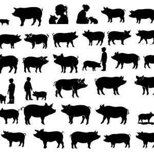 Pig SVG, Pig Bundle Svg, Pig Cricut, Pig Cut Files , Pig Svg, Pig Silhouette