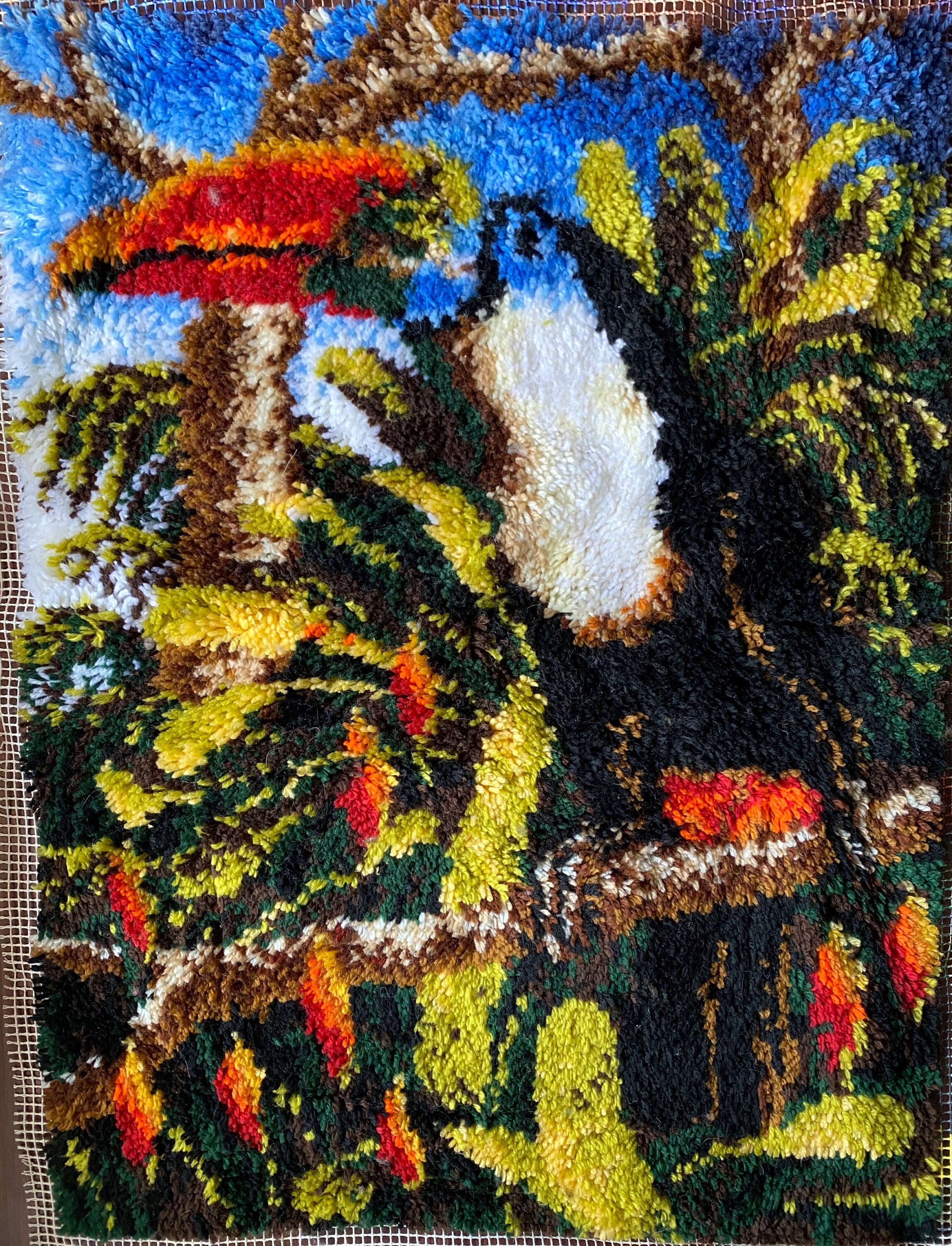 Beautiful Shillcraft Toucan Latch Hook Rug 28w X Etsy