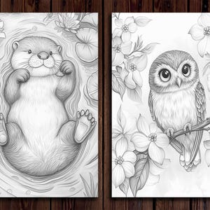 May include: Two black and white illustrations. The first shows an otter floating on its back in a pond with lily pads. The second shows an owl perched on a branch with white flowers.