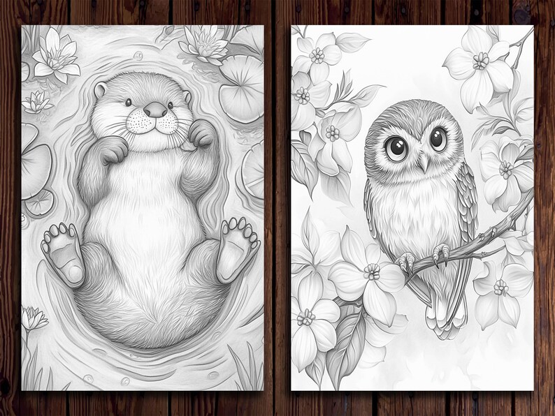 May include: Two black and white illustrations. The first shows an otter floating on its back in a pond with lily pads. The second shows an owl perched on a branch with white flowers.