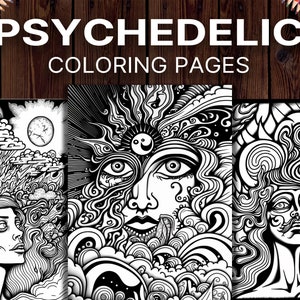 Stoner Coloring Book: Creative Psychedelic Drawing For Adults & Teens,  Trippy Acid & Mushrooms High (Paperback)