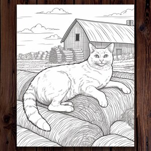 May include: A black and white line drawing of a cat sitting on a pile of hay bales in front of a barn. The cat is looking directly at the viewer.