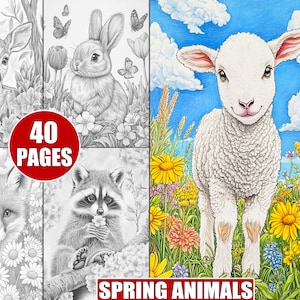 Spring Animals Coloring Pages: 40 Grayscale Woodland Creatures (Digital Download)