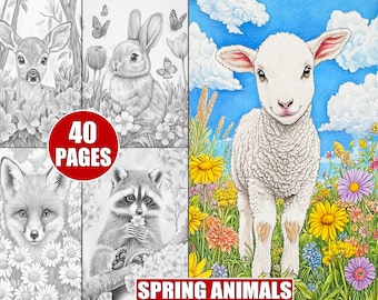 Spring Animals Coloring Pages: 40 Grayscale Woodland Creatures (Digital Download)