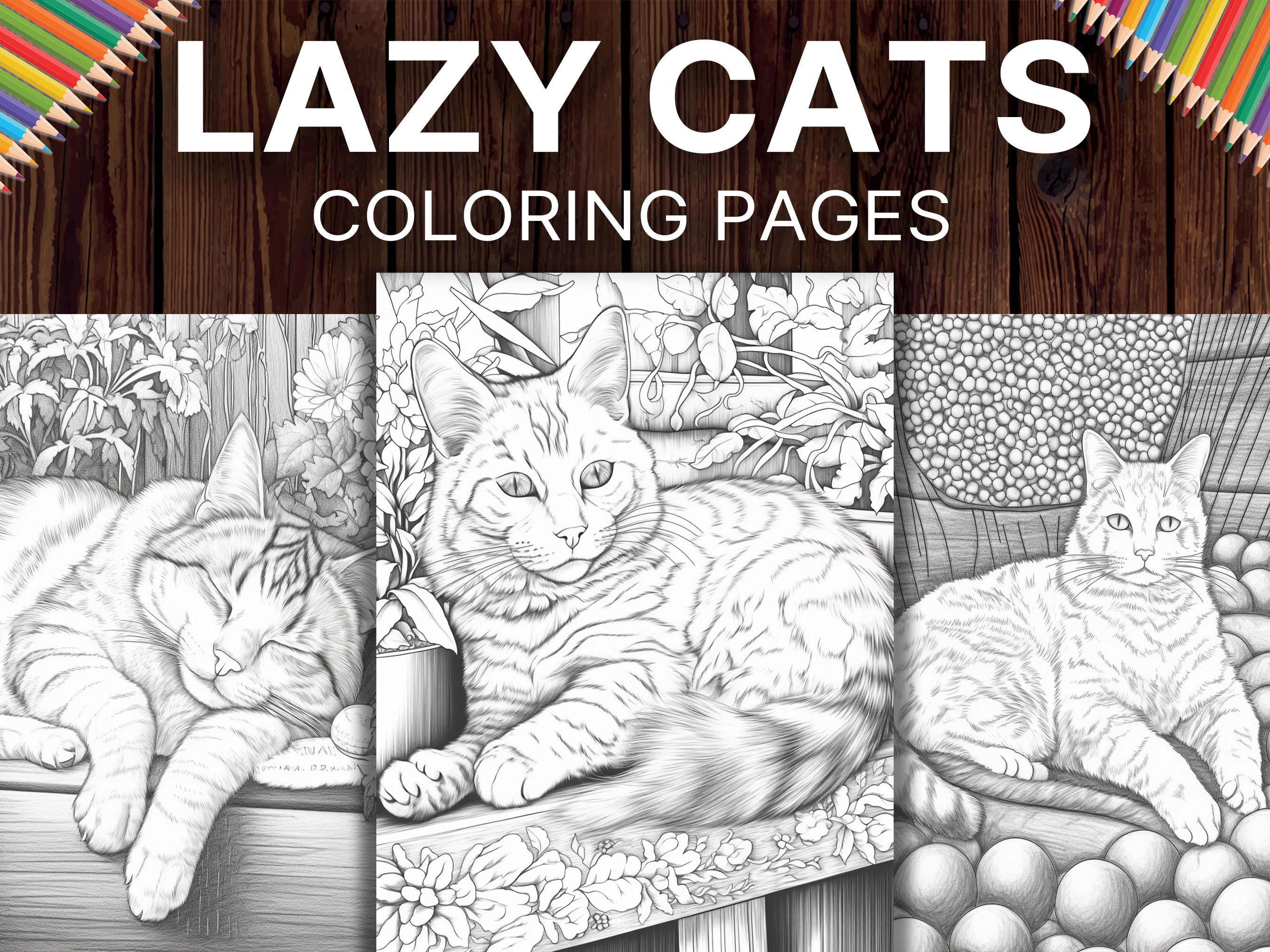 50 Lazy Cats Coloring Pages for Adults Animal Coloring Book - Etsy