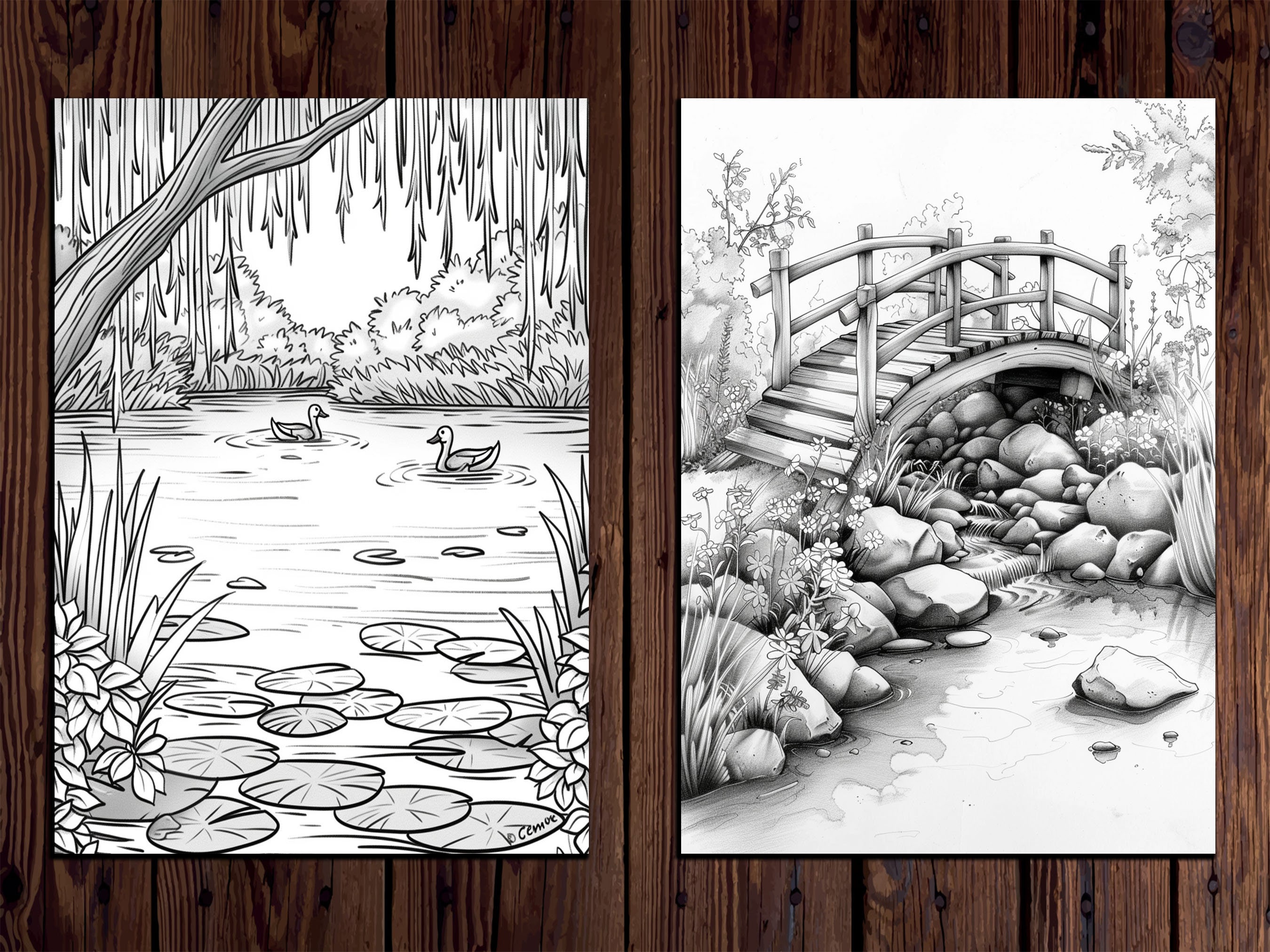 Cottagecore Coloring Book: 25 Springtime Country Life Pages (grayscale ...