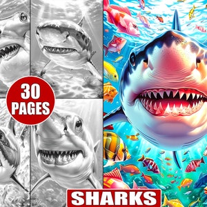 30 Printable Sharks Coloring Pages in Grayscale for Adults, Aquatic Sea Creatures, Underwater Ocean Life Stress Relief Coloring Book Sheets