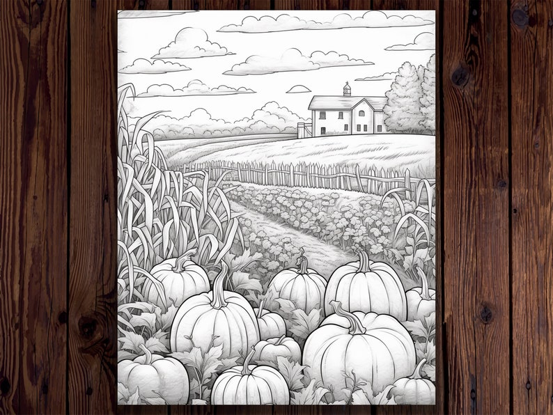 May include: A black and white drawing of a field of pumpkins in front of a farmhouse. The pumpkins are various sizes and shapes, and some are growing on vines. The farmhouse is in the background, and there are trees and clouds in the sky.