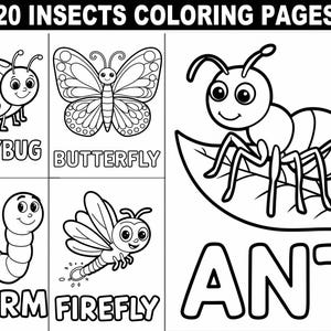 May include: Black and white coloring pages featuring illustrations of a ladybug, butterfly, ant, worm, and firefly. Each illustration is accompanied by the name of the insect in large, bold letters.