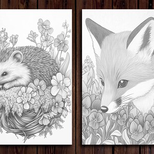 May include: A black and white pencil drawing of a hedgehog curled up in a nest of leaves and flowers. The hedgehog is surrounded by delicate flowers with intricate details.