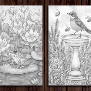 May include: Two black and white illustrations. The first shows a frog sitting on a lily pad in a pond with lily pads and flowers. The second shows a bird perched on a bird bath with bees flying around it.