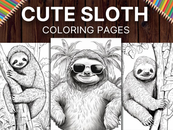 Sloth coloring book for adults: (Animal Coloring Books for Adults)