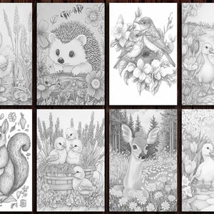 May include: A colouring book page featuring eight different illustrations of animals in nature. The illustrations include a duckling, a hedgehog, a pair of birds in a nest, a pair of ducklings, a squirrel, a group of chicks in a basket, a deer, and another pair of ducklings.