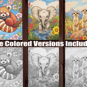 May include: Three colouring pages featuring a red panda, an elephant, and two meerkats. The red panda is curled up on a branch with pink flowers. The elephant is standing in a stream with flowers. The meerkats are standing on a rock with flowers.