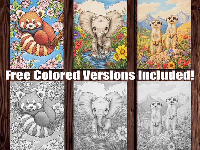 May include: Three colouring pages featuring a red panda, an elephant, and two meerkats. The red panda is curled up on a branch with pink flowers. The elephant is standing in a stream with flowers. The meerkats are standing on a rock with flowers.