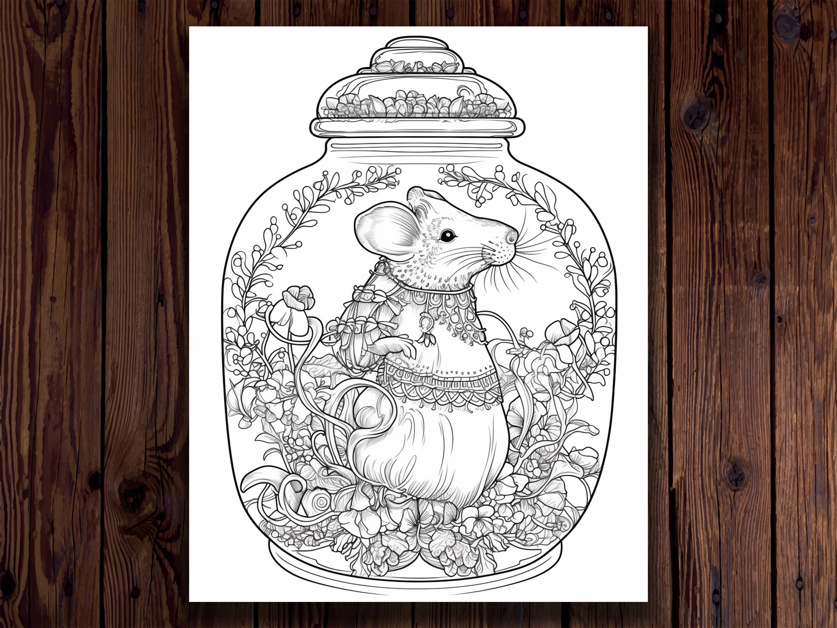 Enchanting Magic Jar Coloring Book: 50 Fun Designs coloring pages, adult  coloring books for anxiety and depression, VOL9 by Med publish
