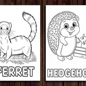 K&ouml;nnte beinhalten: Zwei Schwarz-Wei&szlig;-Illustrationen auf wei&szlig;em Papier. Das linke Bild zeigt ein Frettchen mit dem Wort "FERRET" darunter. Das rechte Bild zeigt einen Igel mit einer Kiste &Auml;pfel und dem Wort "HEDGEHOG".