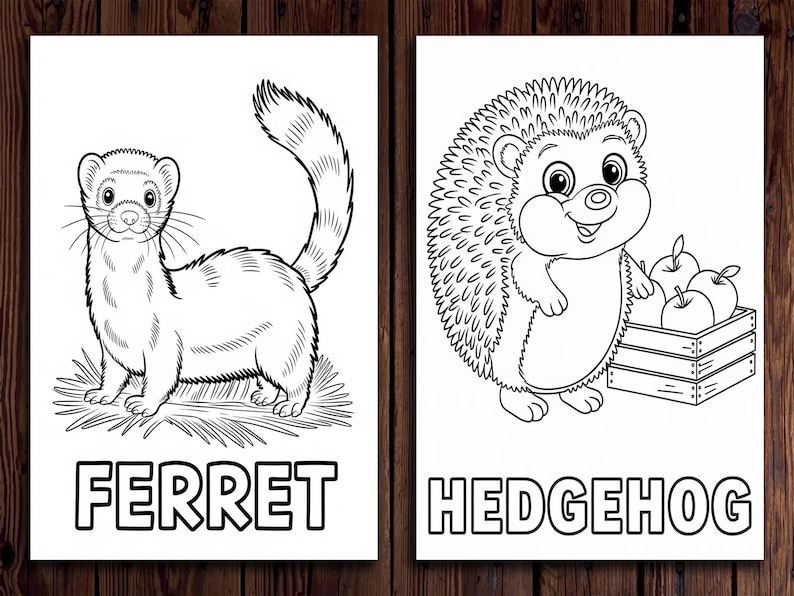 K&ouml;nnte beinhalten: Zwei Schwarz-Wei&szlig;-Illustrationen auf wei&szlig;em Papier. Das linke Bild zeigt ein Frettchen mit dem Wort "FERRET" darunter. Das rechte Bild zeigt einen Igel mit einer Kiste &Auml;pfel und dem Wort "HEDGEHOG".