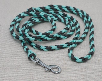 Lightweight paracord dog leash, Small dog lead, 4 strand durable dog leash, Rope puppy leash, Pet supplies, Cat leash, 2 color dog lead