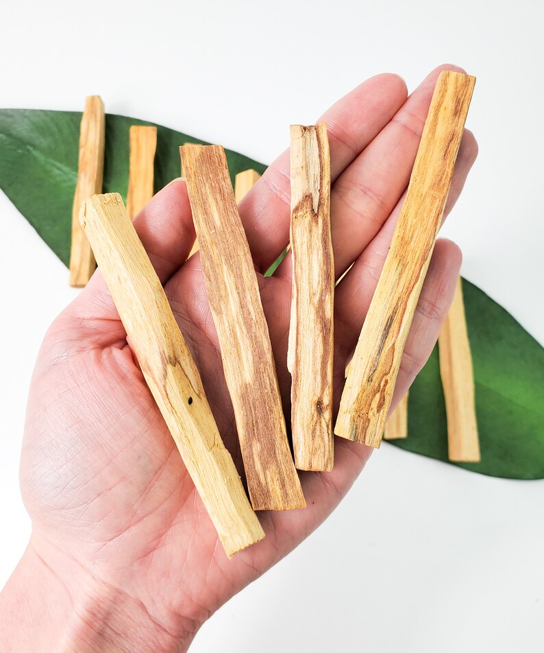 Palo Santo Wood Holy Wood Incense Sticks Palo Santo incense Etsy