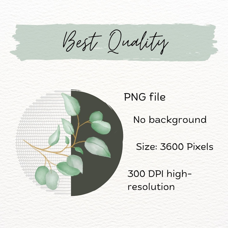 Watercolor Eucalyptus Clipart Bundle, Greenery Leaves, Wedding Border ...