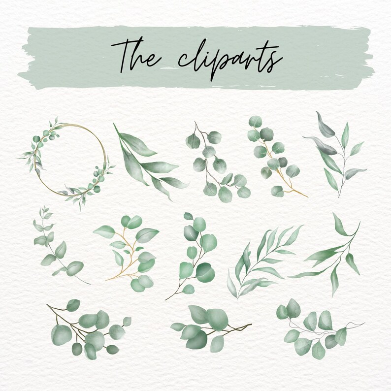 Watercolor Eucalyptus Clipart Bundle, Greenery Leaves, Wedding Border ...