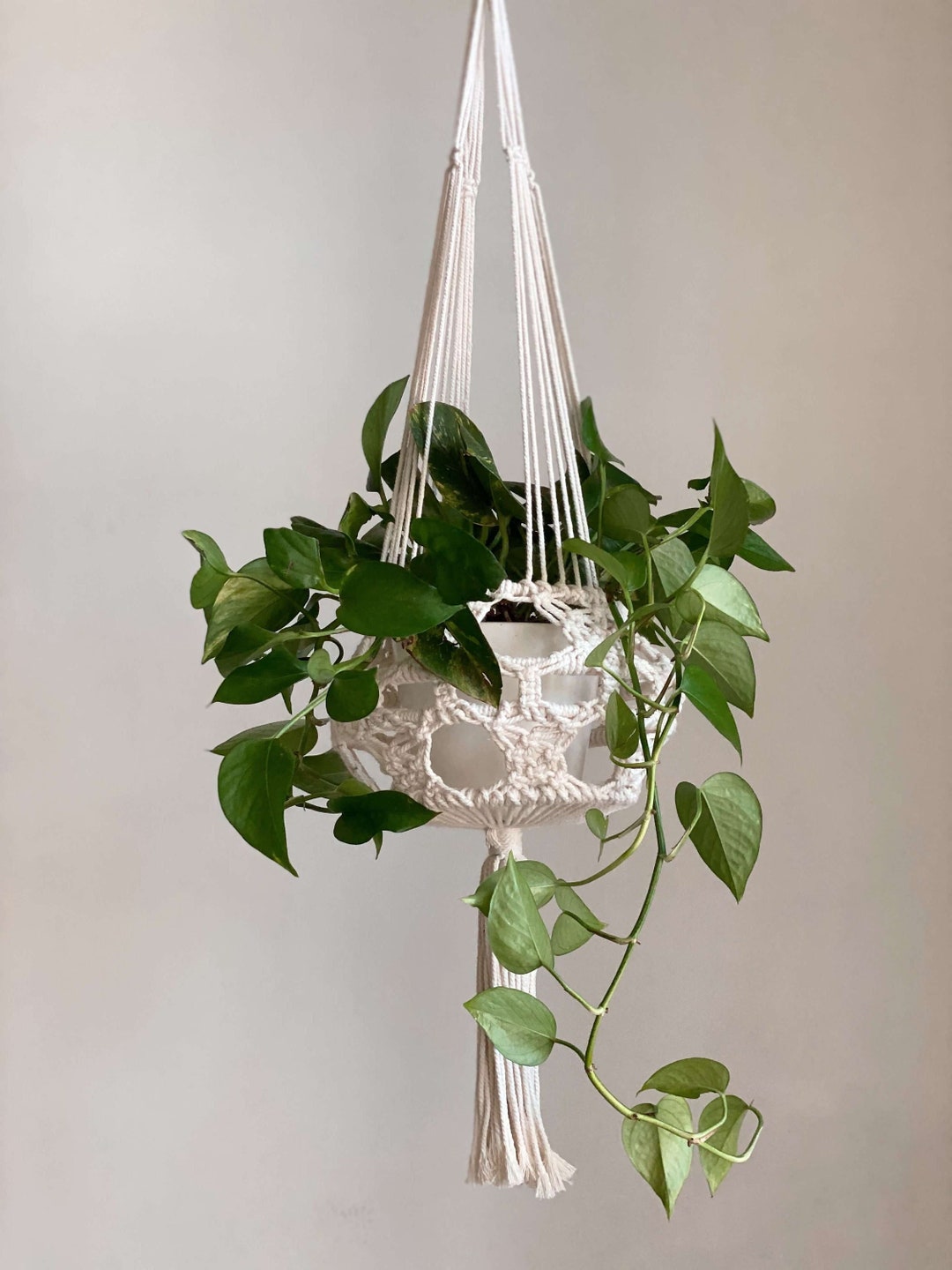Unique Plant Holder White Plant Hanger Air Plant Display Hanging Plant Holder Cute Plant Gift
